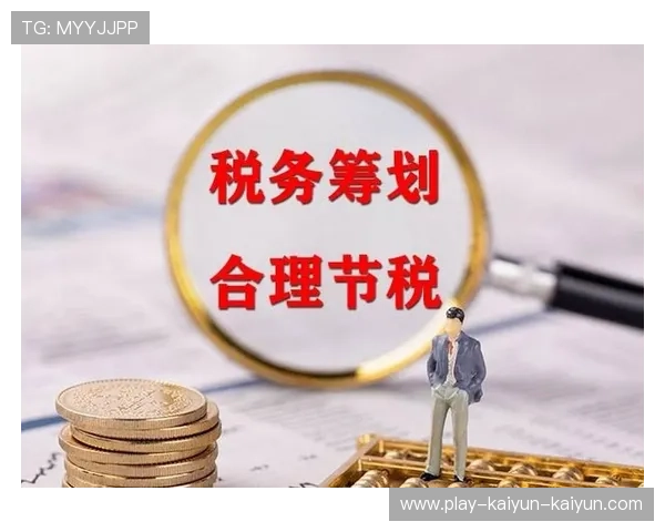个人工作室税务筹划入门指南与常见风险规避技巧全面解析方法分享